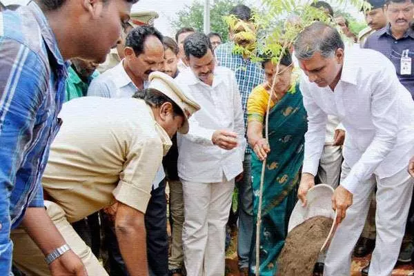 Plant a sapling in memory of the dead: Minister Harish Rao