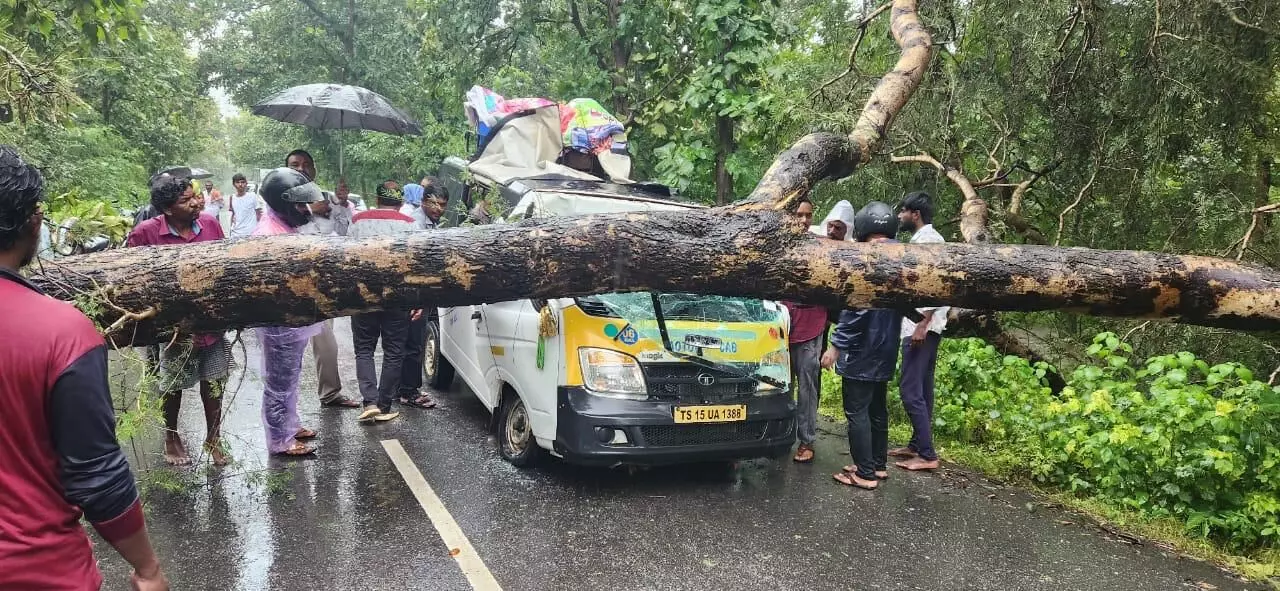 Two die after tree falls on TATA Magic vehicle in Nirmal