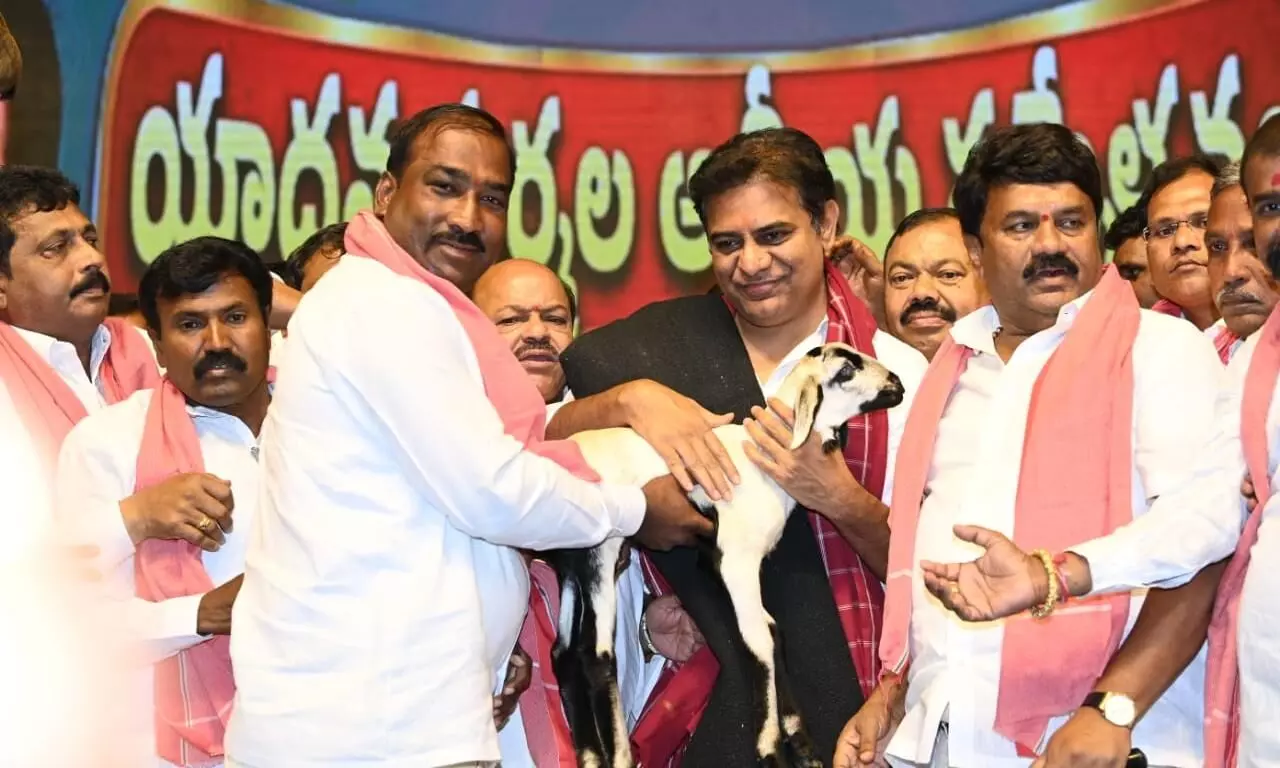 Telangana only state to spend Rs 11,000 cr to distribute sheep: KTR