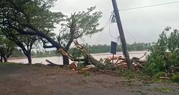Cyclone Mandous: Heavy rains continue to lash 6 AP districts
