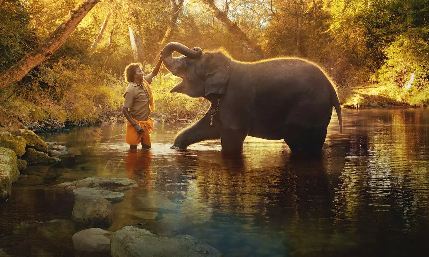 Indian film The Elephant Whisperers wins Best Documentary Short at the Oscars