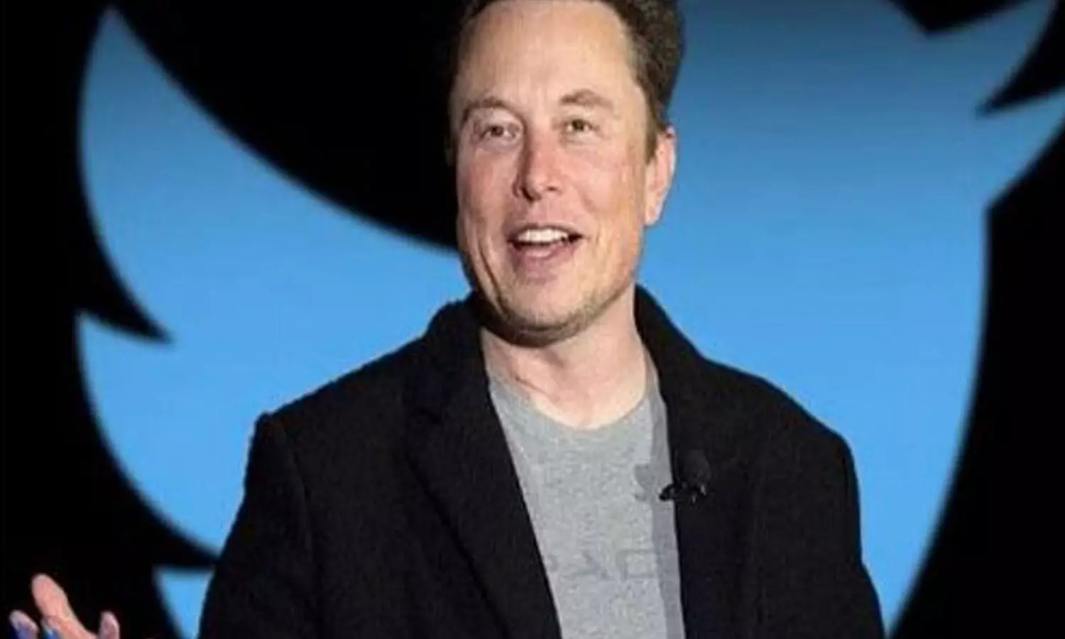 Voice, video chat on Twitter soon without phone number, announces Elon Musk