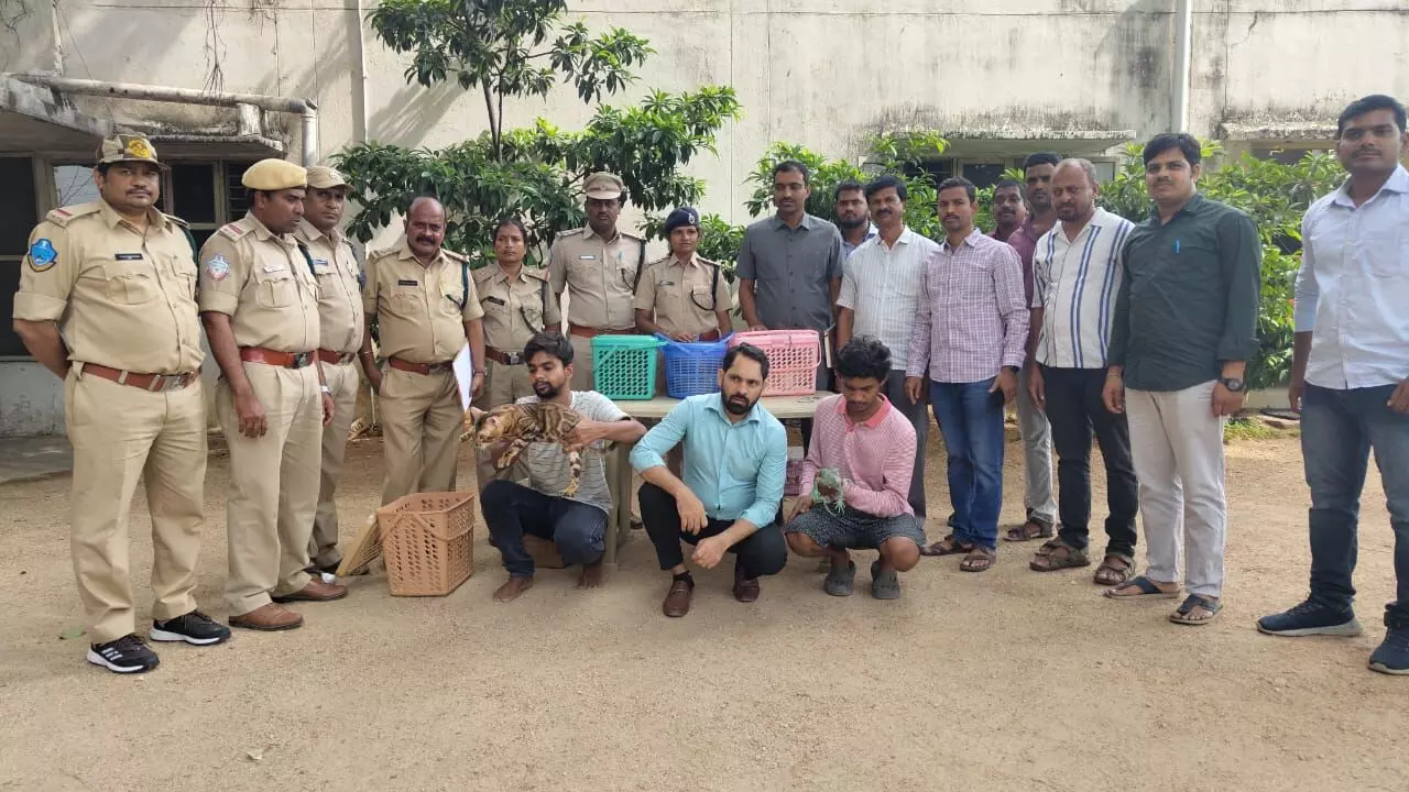 6 arrested in Jubilee Hills Xora Pub exotic animals display case