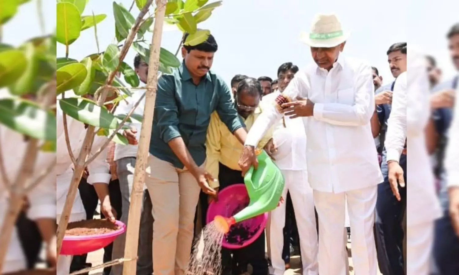 KCR joins Green India Challenge, plants sapling on World Environment Day