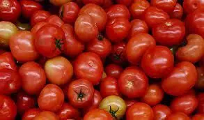 Centre further slashes price of tomato; to be sold at Rs 70 per kg by NCCF, NAFED from July 20