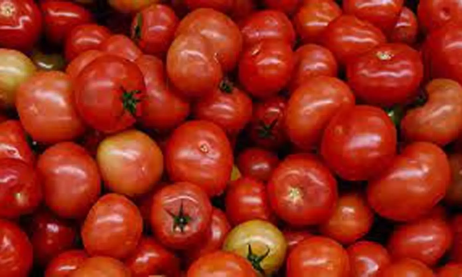 Traders sell tomatoes, amid police security in Karnataka’s Kolar