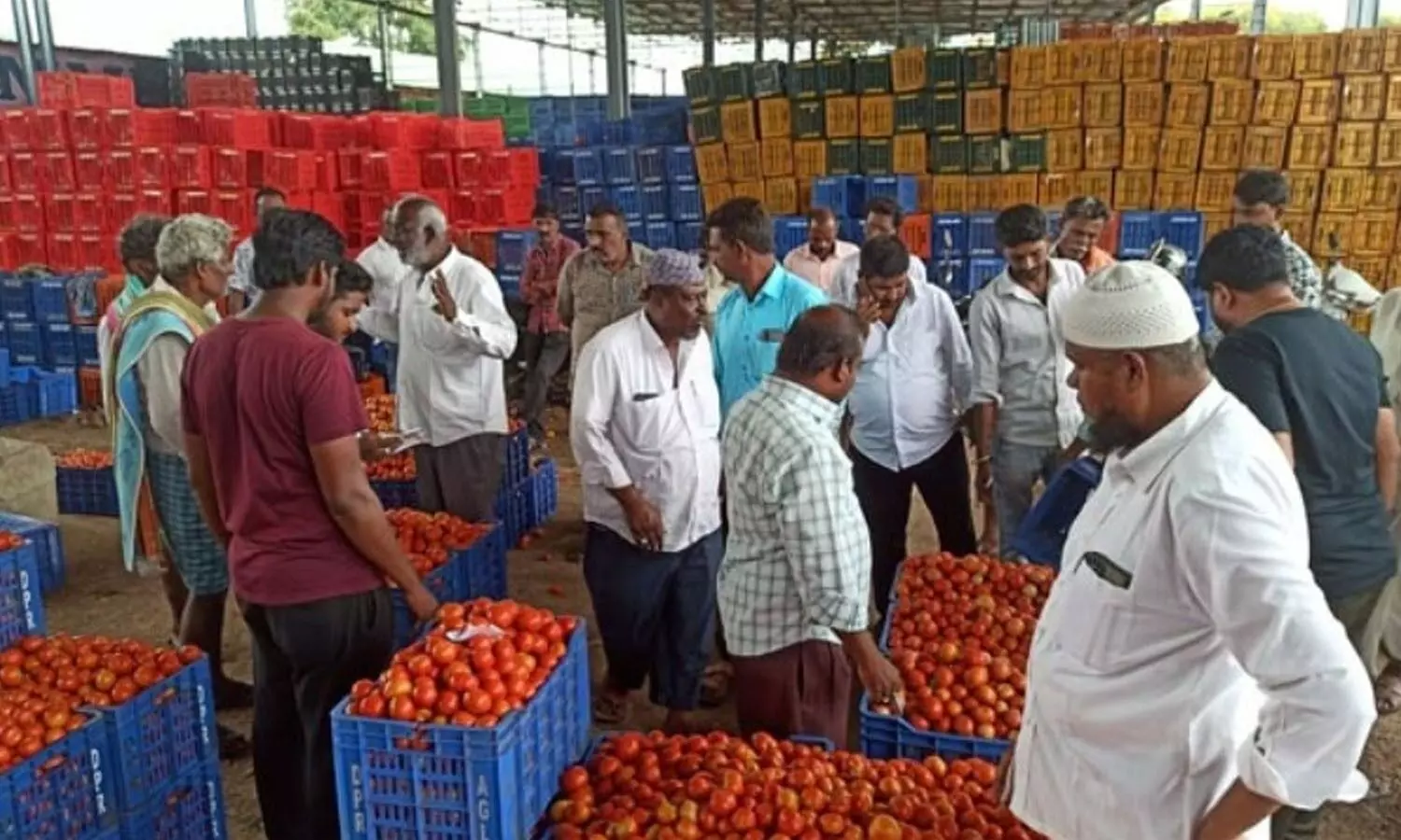 Wholesale price of tomato drops to Rs 21 per kg in Madanapalle!