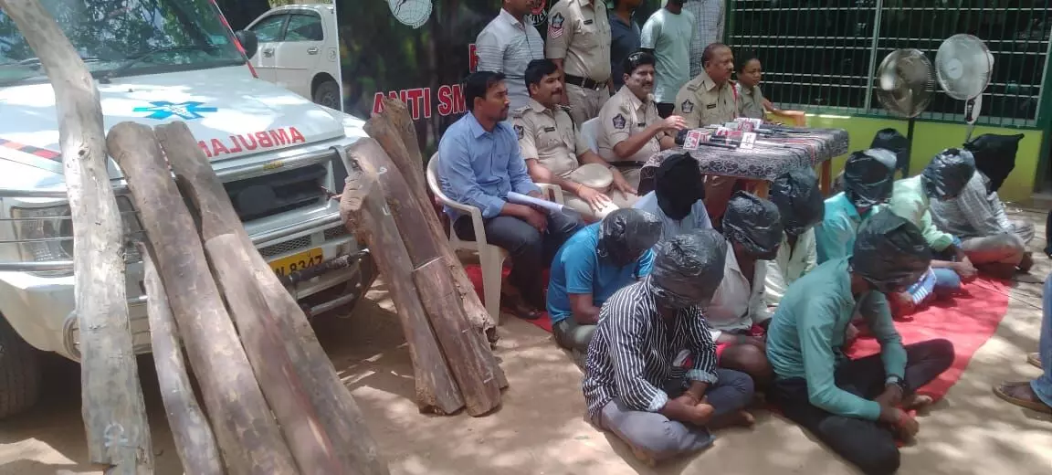 Police bust Pushpa inspired smuggling gang in Balapalli, seize red sanders worth Rs. 20 lakh