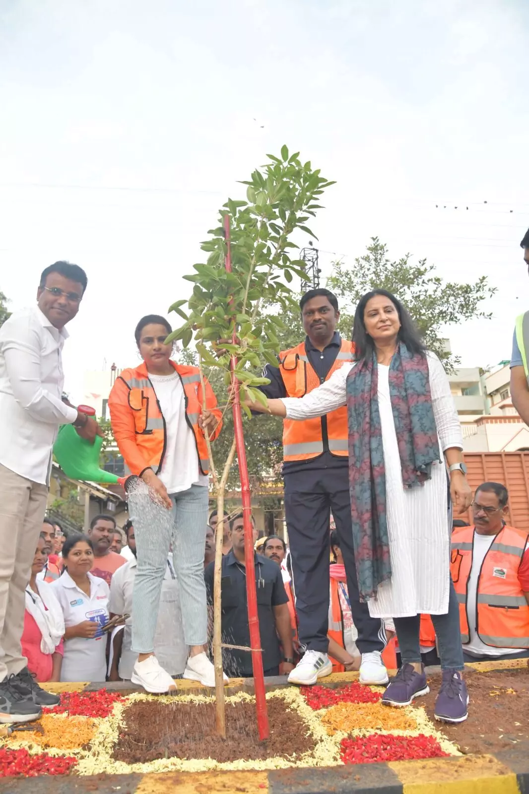 GHMC to increase median, avenue plantation drives in Hyderabad
