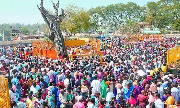 Medaram Jatara: Worlds largest tribal congregation to start from February 21, Aadhar must for jaggery