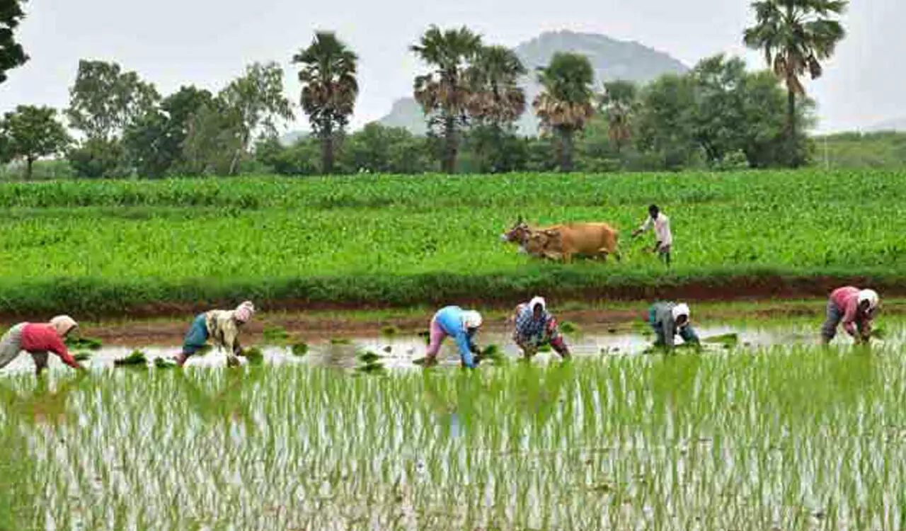Rythu Bandhu assistance to stop for 19 lakh acres; fate of input subsidy for next ‘Kharif’ too hangs fire