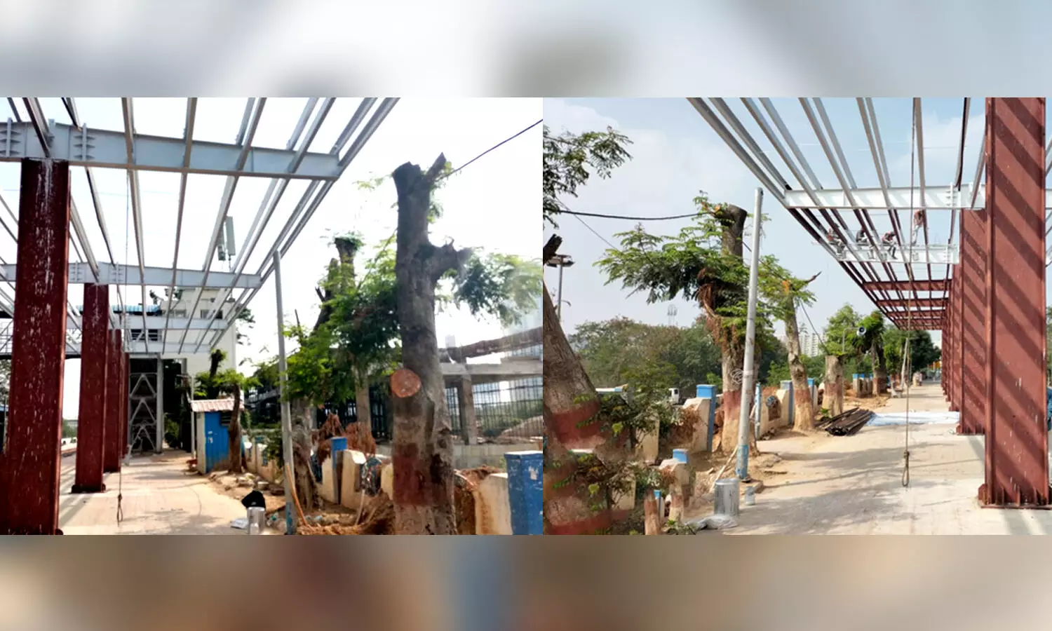 SCR fined Rs. 50,000 for unscientific pruning of 13 tree branches at HITEC City railway station
