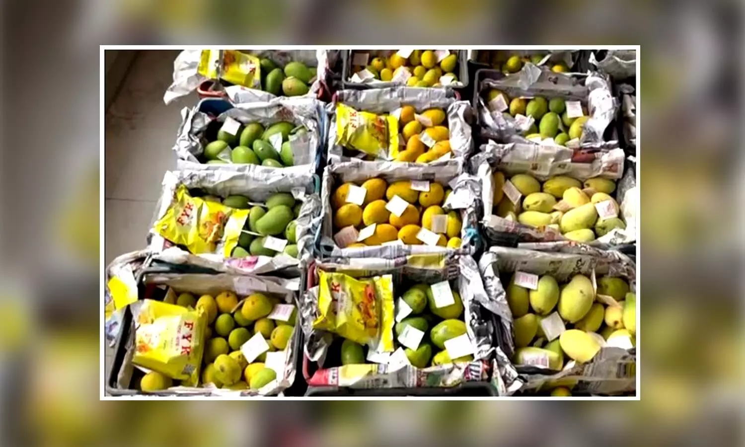 Hyderabad police nab two fruit vendors for selling artificially-ripened mangoes in Mozamjahi market